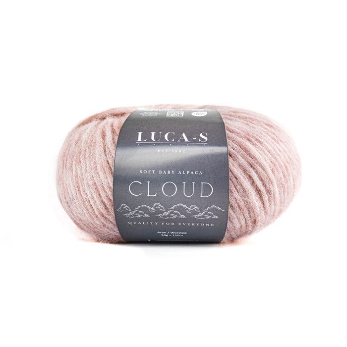 Luca-S Cloud