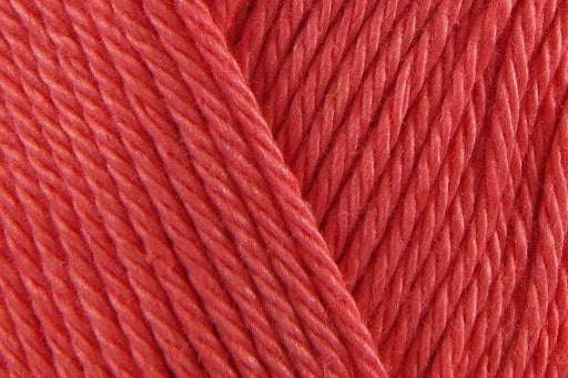 252 watermelon Scheepjes_Yarn - HobbyJobby