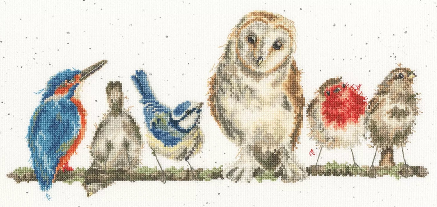 Cross Stitch Kit Bothy Threads - Variety Of Life