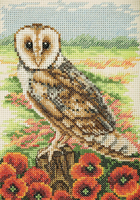 Anchor Essentials Cross Stitch Kit - AK139, Owl Cross Stitch Kits - HobbyJobby