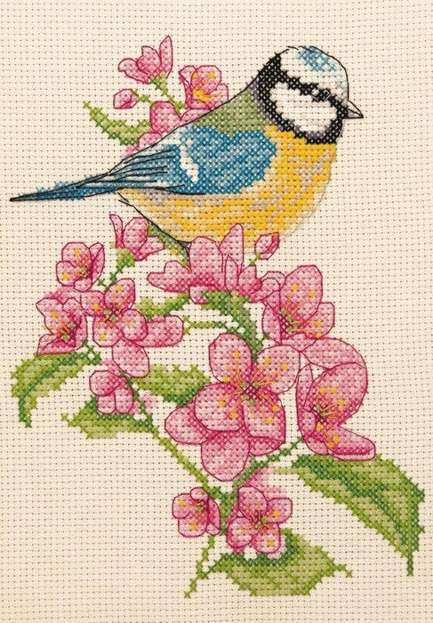 Anchor Starter Cross Stitch Kit - AK135, Bluetit and Blossom Cross Stitch Kits - HobbyJobby