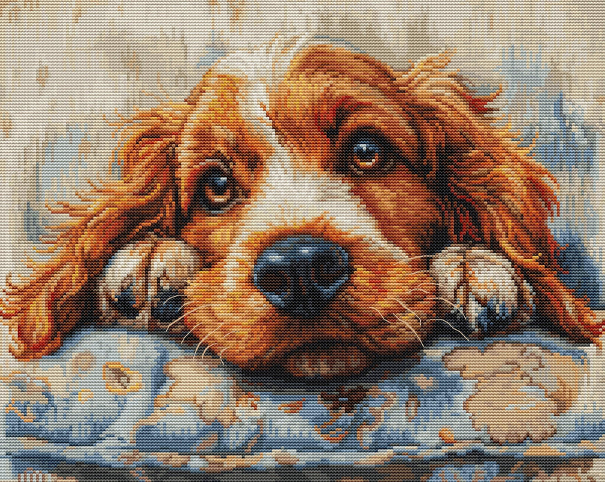 Cross Stitch Kit Luca-S - Cocker Spaniel, BU5058 Luca-S Cross Stitch Kits - HobbyJobby