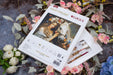 Cross Stitch Kit Luca-S GOLD - The Flower Fairy, B620 Luca-S Cross Stitch Kits - HobbyJobby