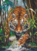 Cross Stitch Kit Luca-S Gold - The Tiger, B2406