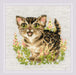 Cross Stitch Kit Riolis - Bengal Kitten, 2119 Cross Stitch Kits - HobbyJobby