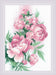 Cross Stitch Kit Riolis - R2138, Lush Peonies Cross Stitch Kits - HobbyJobby