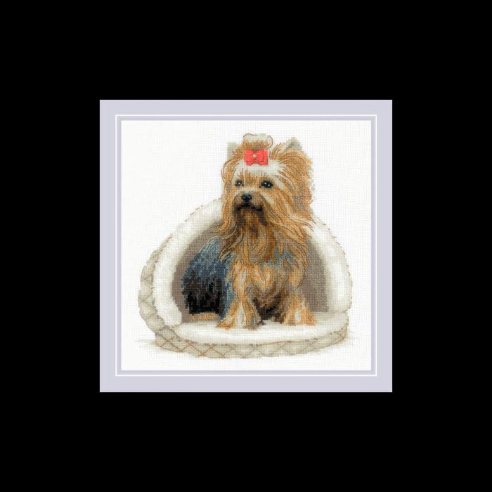 Cross Stitch Kit Riolis - YORKSHIRE TERRIER 25X25, R2152 Cross Stitch Kits - HobbyJobby