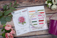 Cross Stitch Kit with Hoop Included Luca-S - Rose Aroma, BC105 Luca-S Cross Stitch Kits - HobbyJobby