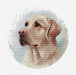 Cross Stitch Kit with Hoop Included Luca-S - The Labrador, BC211 Cross Stitch Kits - HobbyJobby