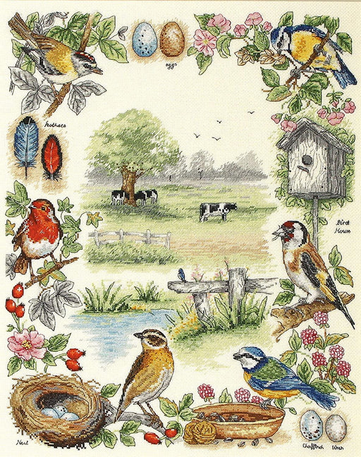 Anchor Cross Stitch Kit - Birds Sampler Cross Stitch Kits - HobbyJobby