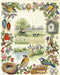 Anchor Cross Stitch Kit - Birds Sampler Cross Stitch Kits - HobbyJobby