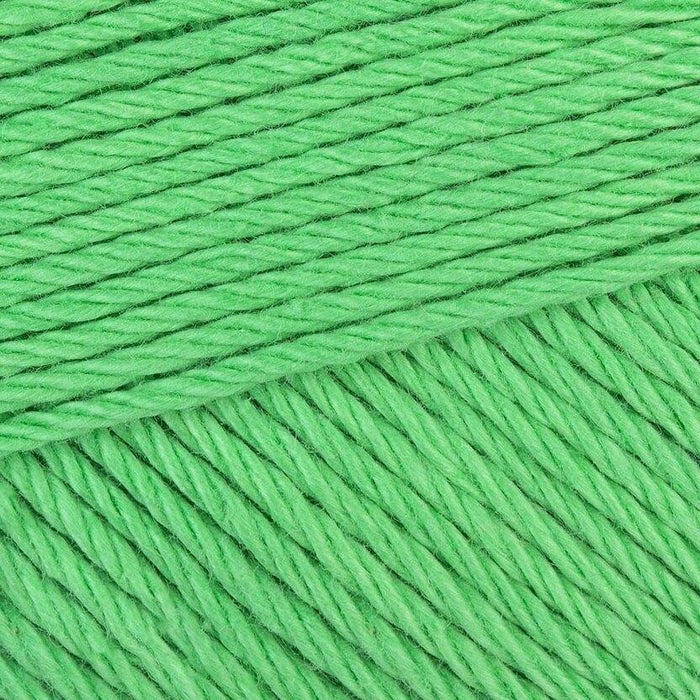 apple green 389 Scheepjes_Yarn - HobbyJobby