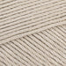 champagne 248 Scheepjes_Yarn - HobbyJobby