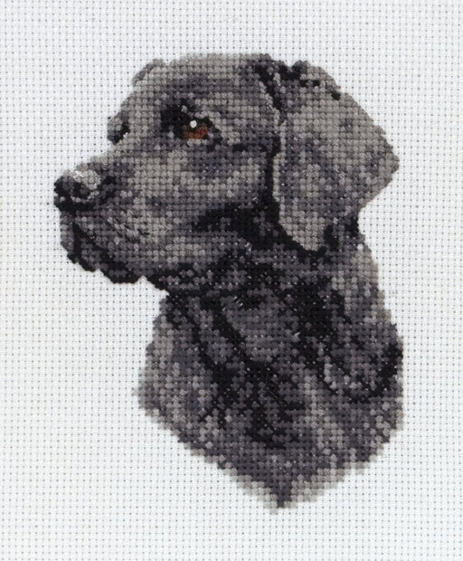 Cross Stitch Kit Anchor - Black Labrador Cross Stitch Kits - HobbyJobby