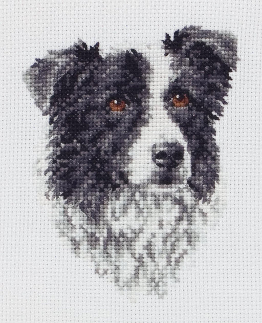 Cross Stitch Kit Anchor - Border Collie Cross Stitch Kits - HobbyJobby