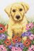 Cross Stitch Kit Anchor - Puppy Cross Stitch Kits - HobbyJobby