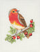 Cross Stitch Kit Anchor - Red Robin Cross Stitch Kits - HobbyJobby