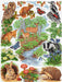 Cross Stitch Kit Anchor - Woodland Sampler Cross Stitch Kits - HobbyJobby