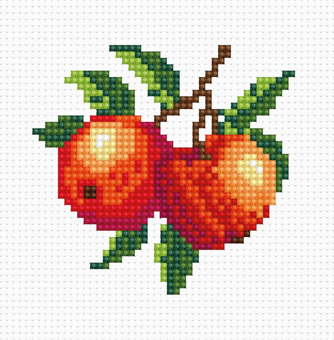 Cross Stitch Kit for Beginners - Kids Embroidery Kit B028 - HobbyJobby