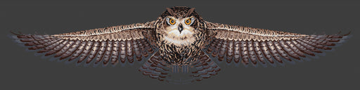 Cross Stitch Kit HobbyJobby -The Owl Cross Stitch Kits - HobbyJobby