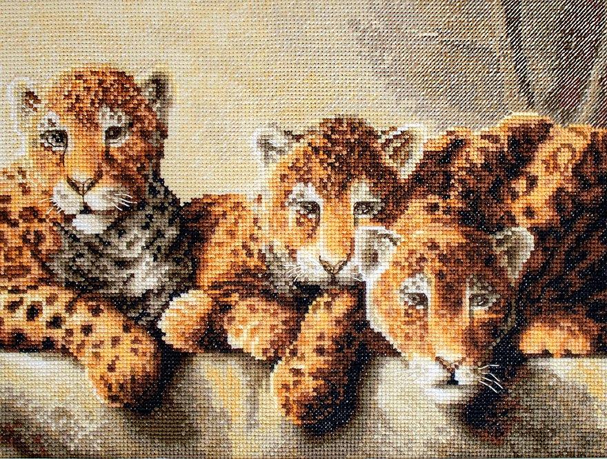 Cross Stitch Kit LetiStitch - Leopards LetiStitch Cross Stitch Kits - HobbyJobby