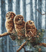 Cross Stitch Kit LetiStitch - Owl Family, Leti946 - HobbyJobby