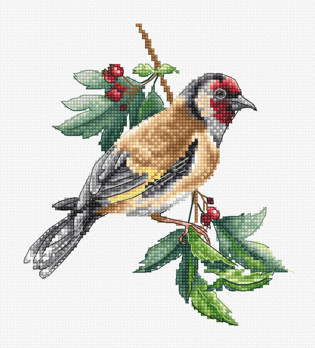 Cross Stitch Kit Luca-S - B1197 Goldfinch bird Cross Stitch Kits - HobbyJobby