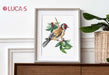 Cross Stitch Kit Luca-S - B1197 Goldfinch bird Cross Stitch Kits - HobbyJobby