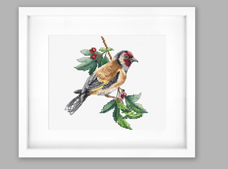 Cross Stitch Kit Luca-S - B1197 Goldfinch bird Cross Stitch Kits - HobbyJobby