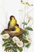 Cross Stitch Kit Luca-S - B2240, Birds in the nest - HobbyJobby