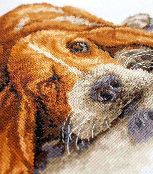 Cross Stitch Kit Luca-S - Basset, B2341 - Luca-S