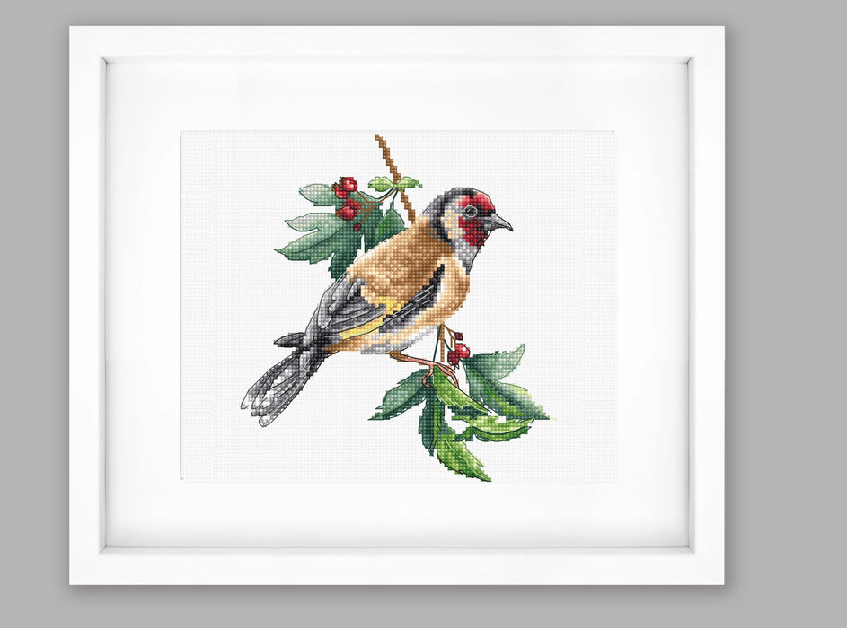 Cross Stitch Kit Luca-S - Goldfinch bird, B1197 Cross Stitch Kits - HobbyJobby