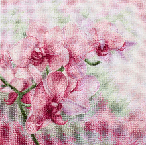 Cross Stitch Kit Luca-S - Graceful Orchids B7009 - Luca-S