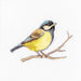 Cross Stitch Kit Luca-S - Great tit, B1155 - Luca-S