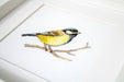 Cross Stitch Kit Luca-S - Great tit, B1155 - Luca-S