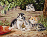 Cross Stitch Kit Luca-S - Kittens, B556 - Luca-S