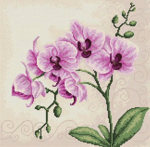 Cross Stitch Kit Luca-S - Orchid, B2227 - HobbyJobby