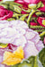 Cross Stitch Kit Luca-S - Peonies Bouquet, B2354 - Luca-S