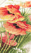 Cross Stitch Kit Luca-S - Poppies B213 - Luca-S