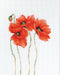 Cross Stitch Kit Luca-S - Poppies, B2224 - HobbyJobby