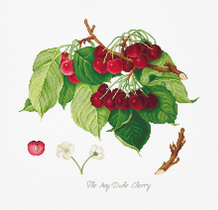 Cross Stitch Kit Luca-S - The May Duke Cherry, BA22460 Luca-S Cross Stitch Kits - HobbyJobby