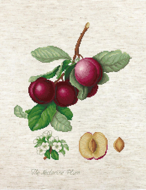 Cross Stitch Kit Luca-S - The Nectarine Plum, BA22480 - HobbyJobby