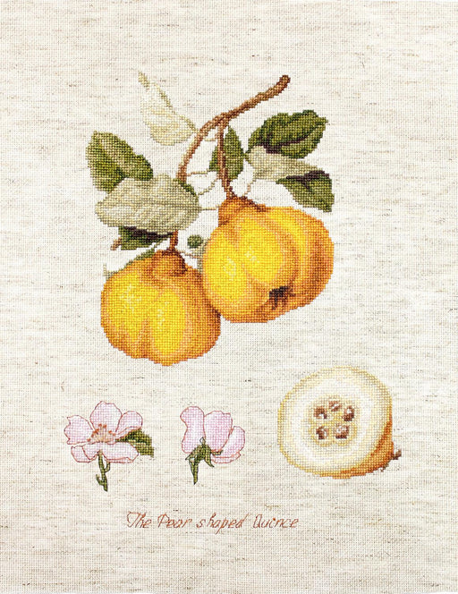 Cross Stitch Kit Luca-S - The Pear shaped Quince - HobbyJobby