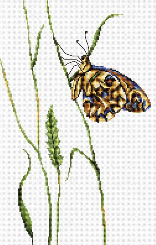 Cross Stitch Kit Luca-S - The spirit of Summer, B2245 - HobbyJobby