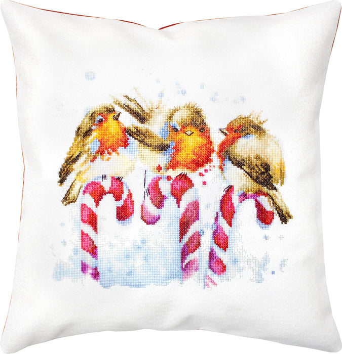 Cross Stitch Kit | Pillowcase PB194 Cushion Kits - HobbyJobby