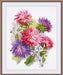 Cross Stitch Kit Oven - Asters, S955 Oven Cross Stitch Kits - HobbyJobby