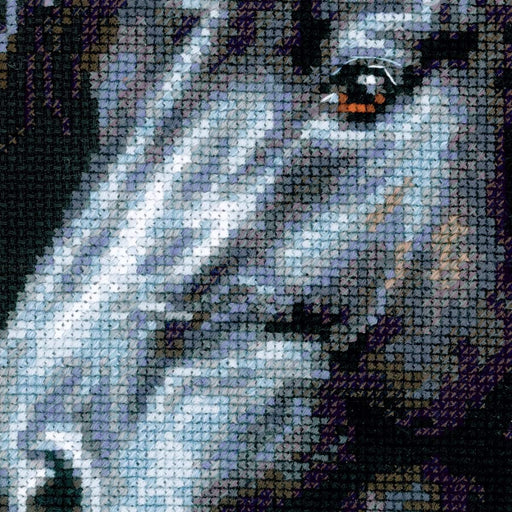 Cross Stitch Kit Riolis - Breeze Through Mane, R1494 Cross Stitch Kits - HobbyJobby