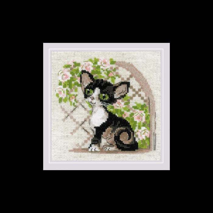 Cross Stitch Kit Riolis - "Cornish Rex Kitten" Cross Stitch Kits - HobbyJobby