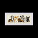 Cross Stitch Kit Riolis"Puppies" Riolis Cross Stitch Kits - HobbyJobby