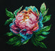 Cross Stitch Kit with Hoop Included Luca-S - BC203 ''Abalone Pearl'' Peony Cross Stitch Kits - HobbyJobby